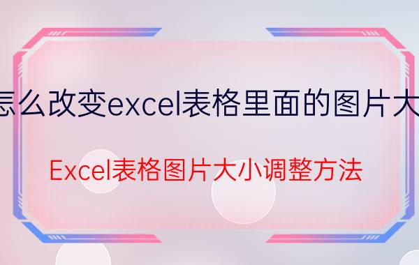 怎么改变excel表格里面的图片大小 Excel表格图片大小调整方法